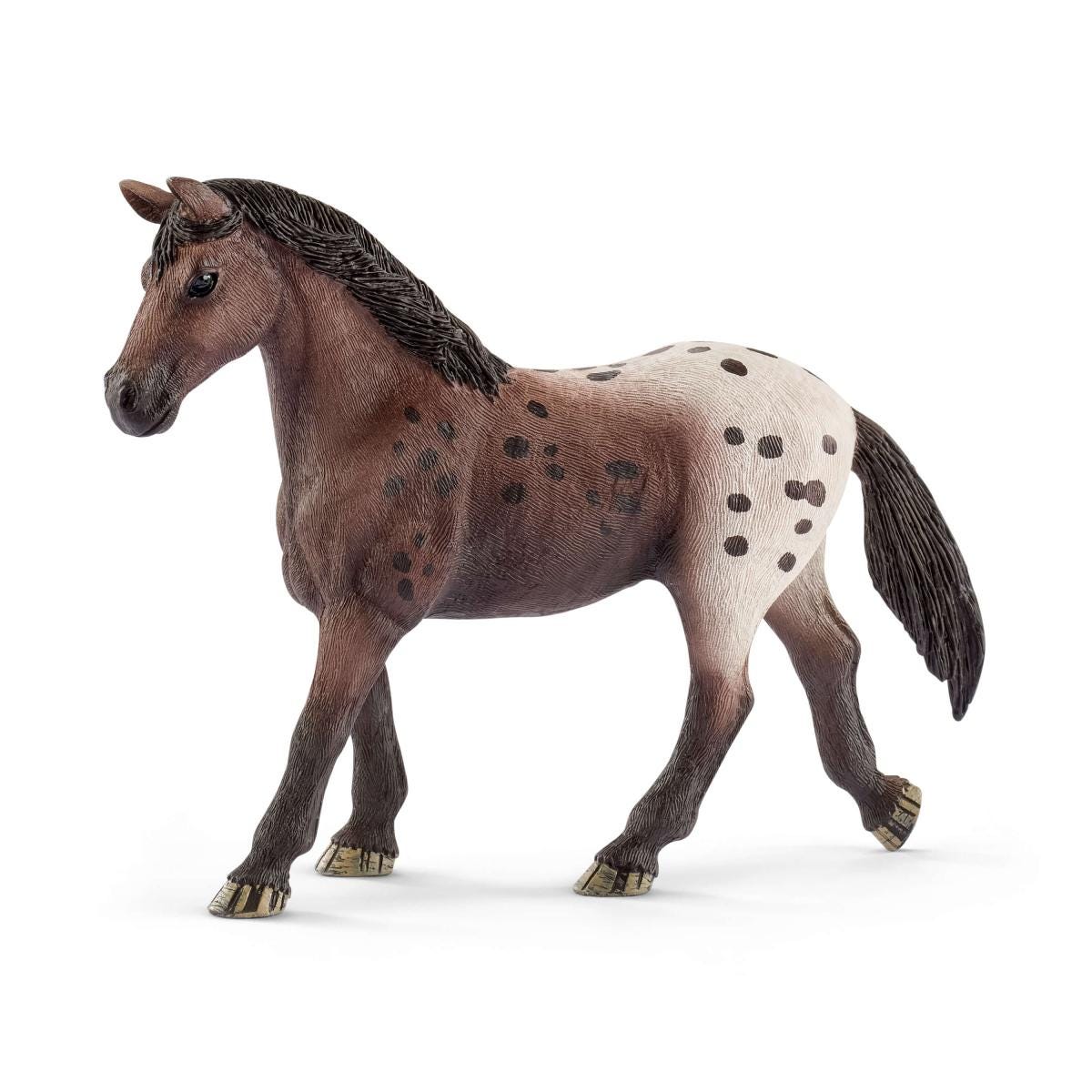Klisna plemene appaloosa