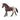 Klisna plemene appaloosa