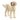 Goldendoodle