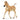 Haflinger Foal