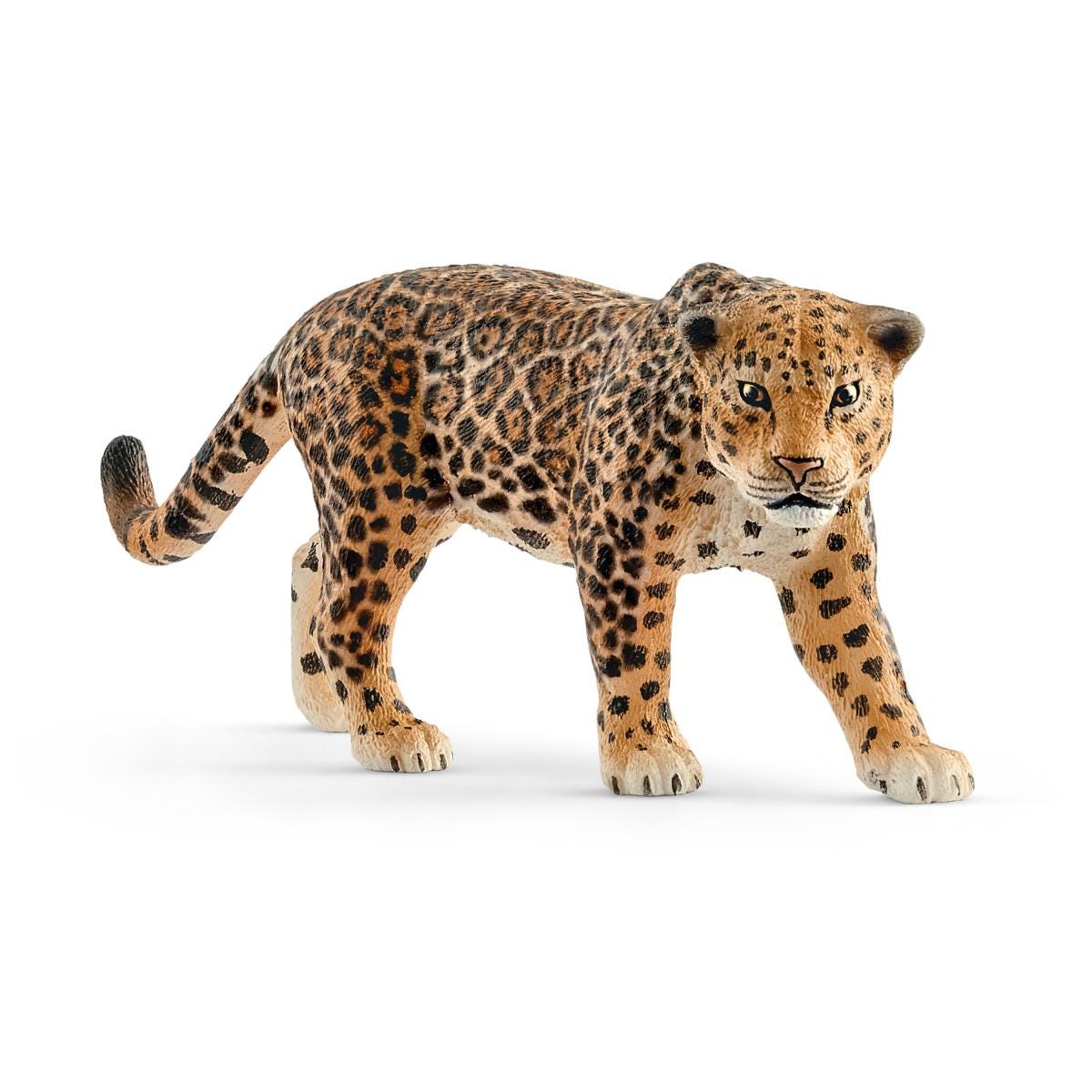 Jaguár