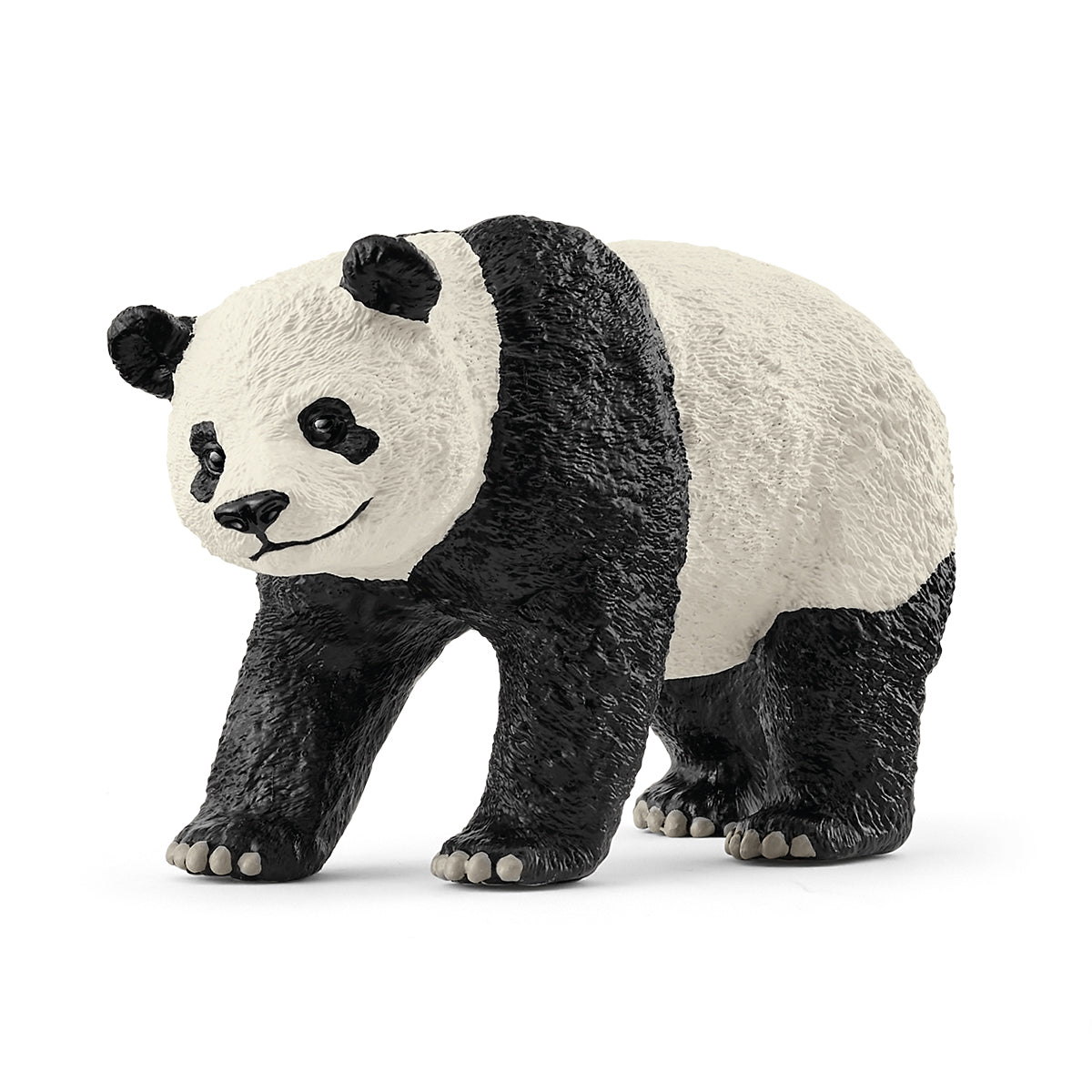 Panda velká