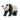 Panda velká