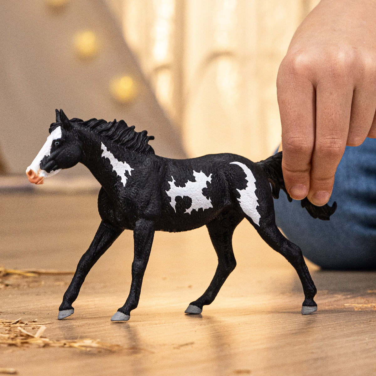 Valach paint horse 