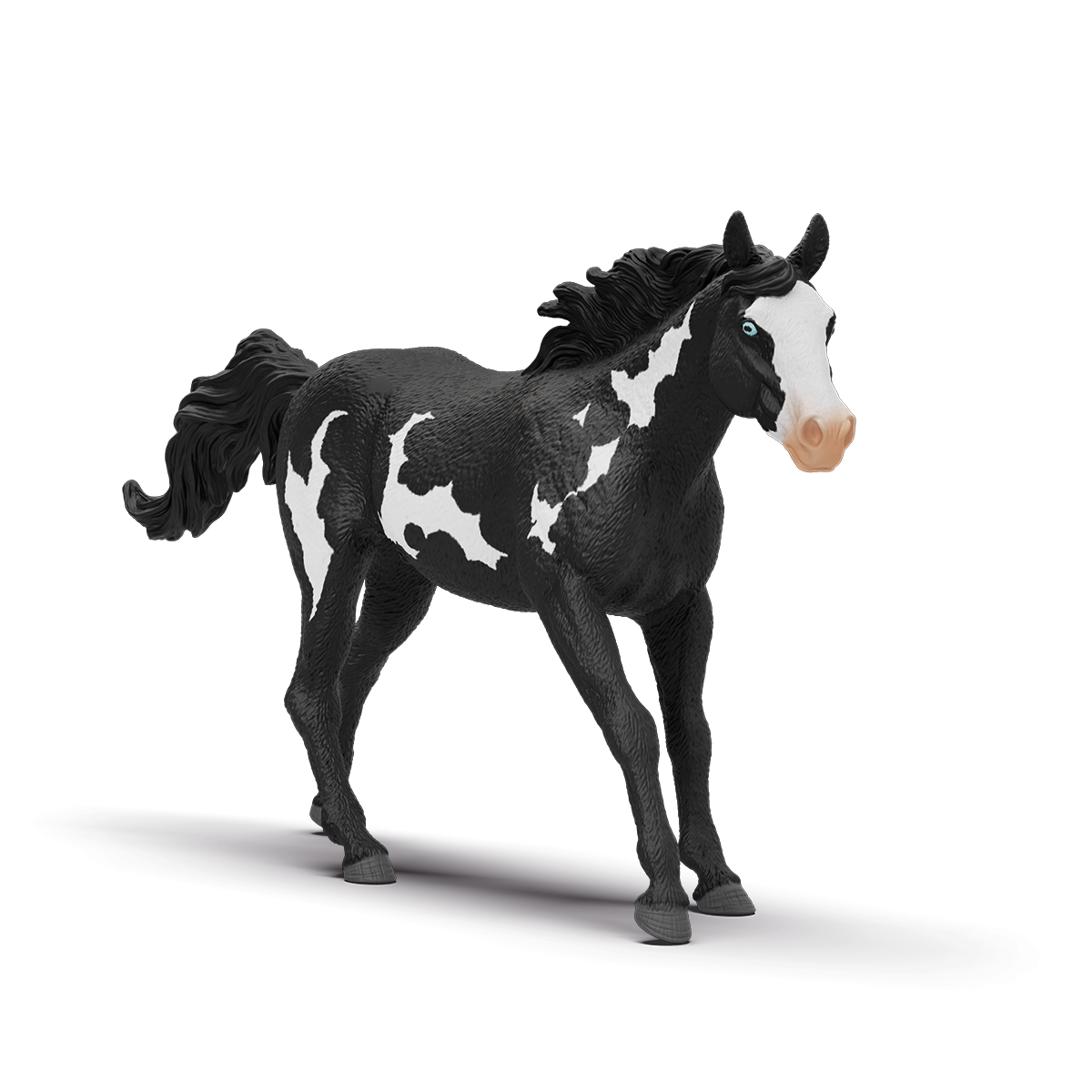 Valach paint horse 