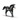 Valach paint horse 