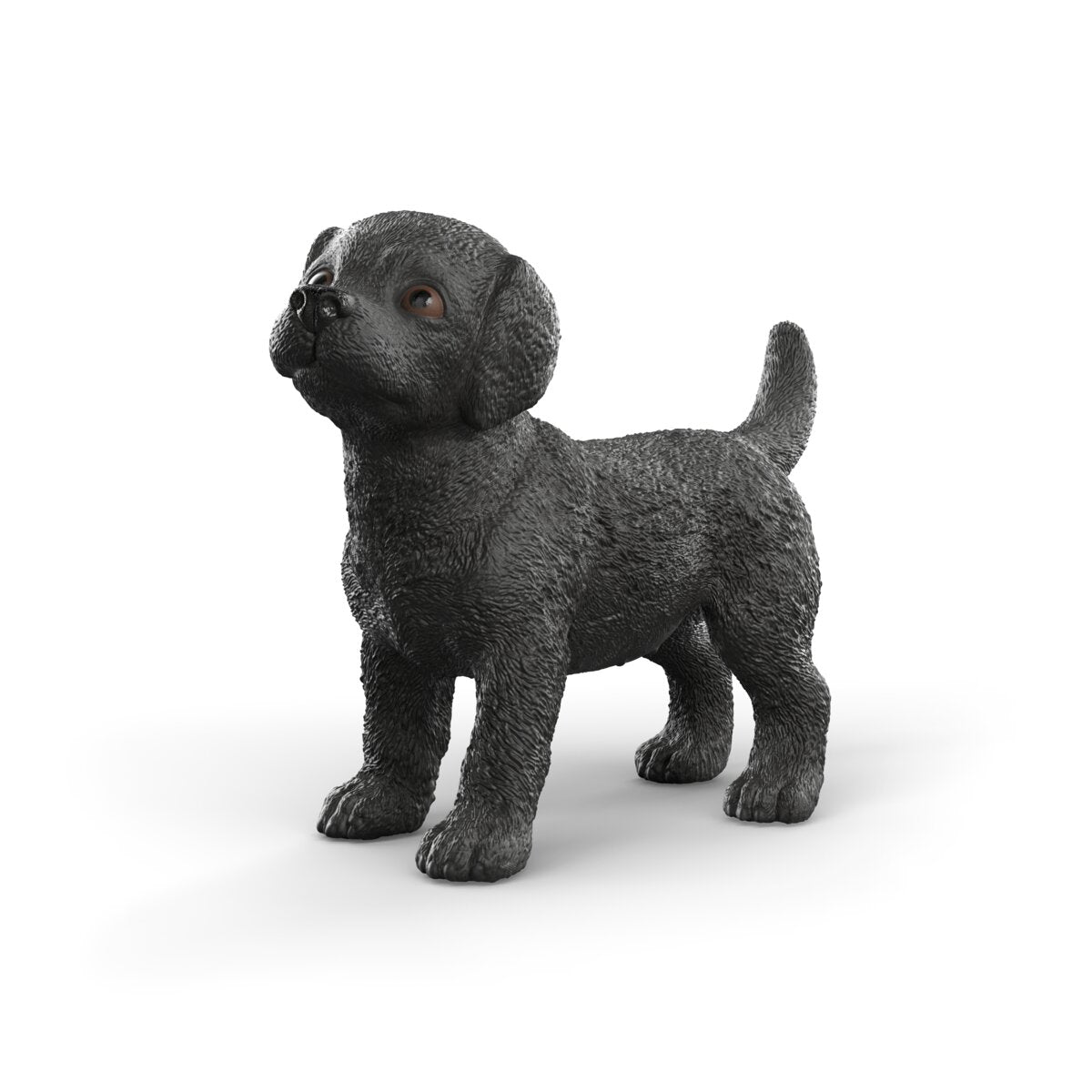 Černé štěně labradorského retrívra