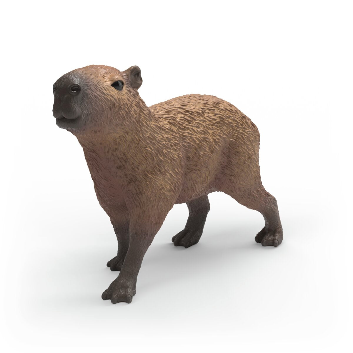 Kapybara