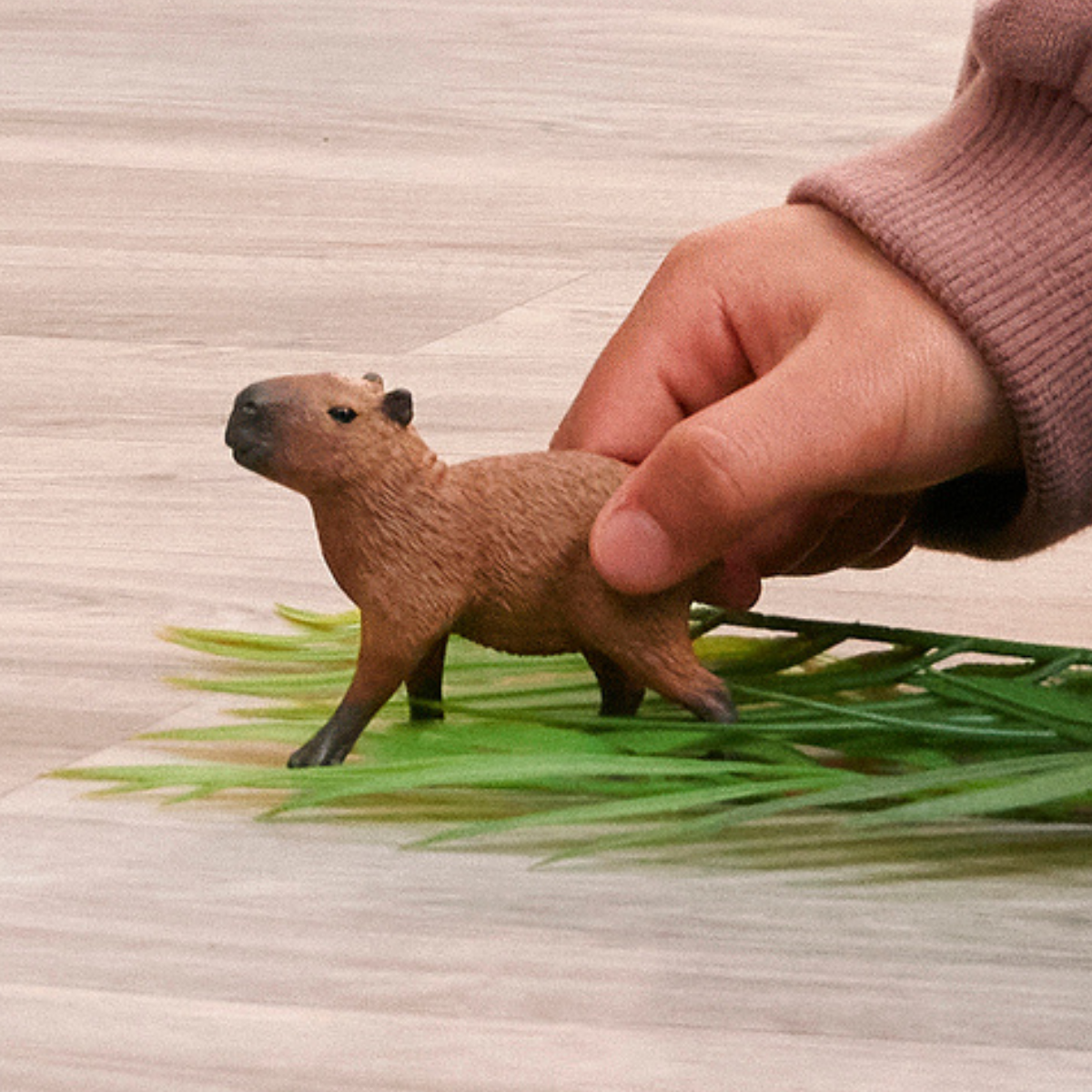 Kapybara