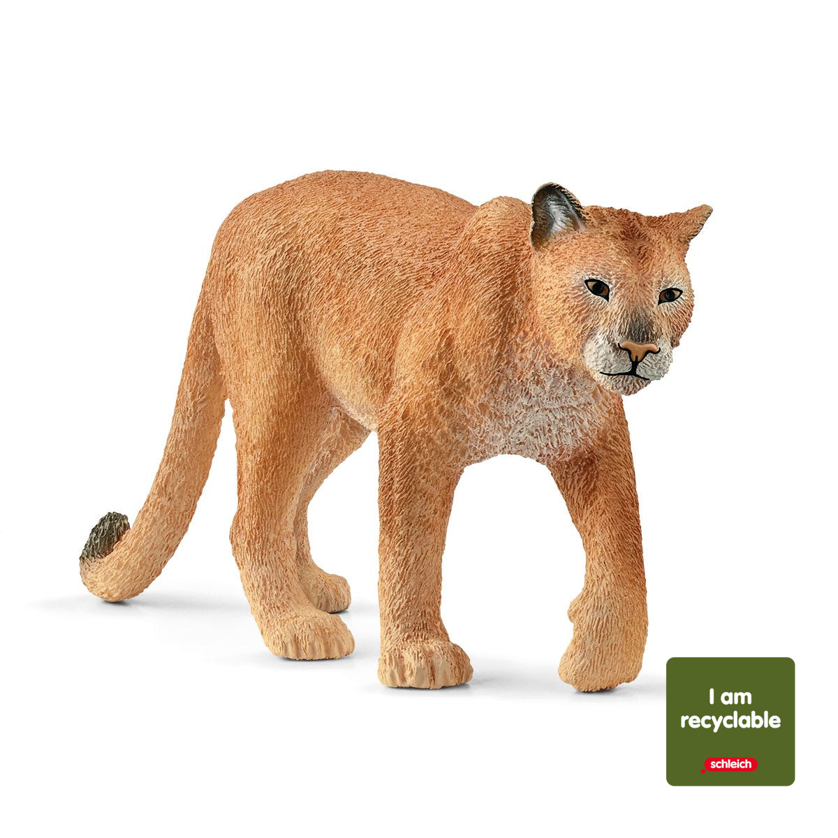 Cougar (circular)