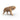 Smilodon