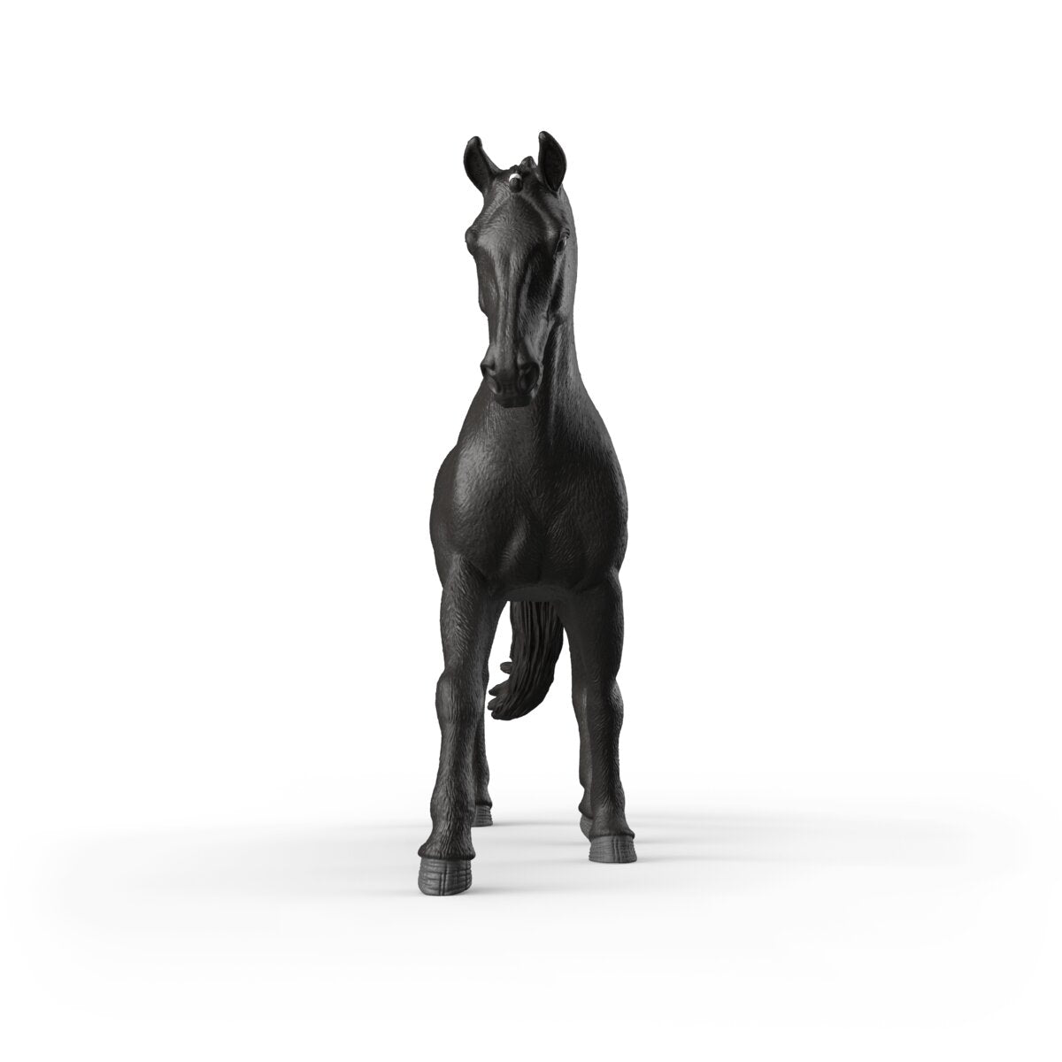 Sonata, Trakehner Mare 1:12
