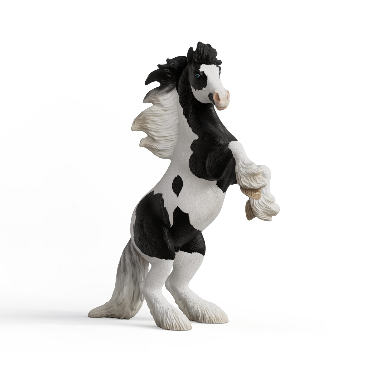 Thunder, Tinker Gelding 1:12